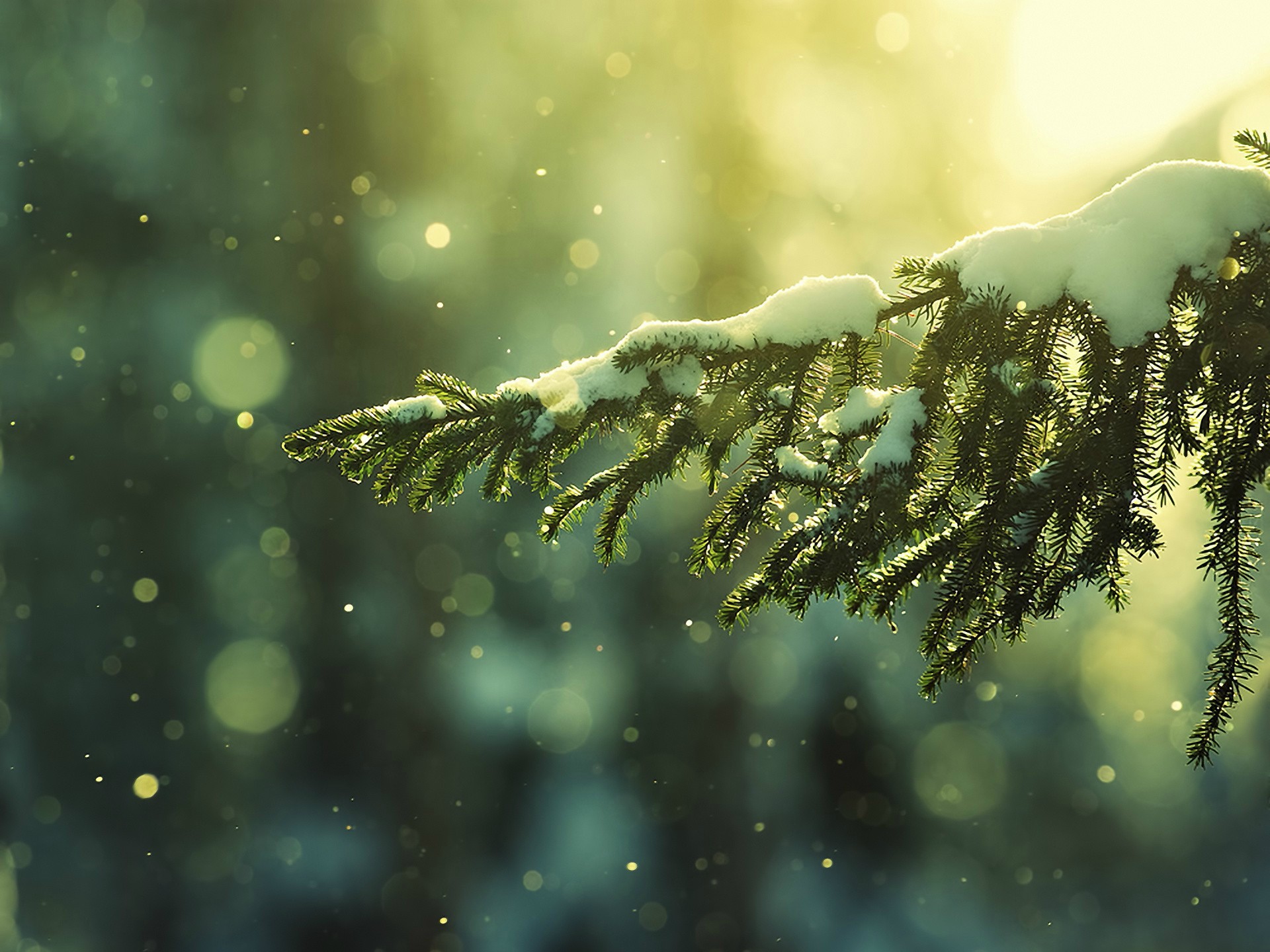 1920 x 1080 HD Wallpapers 197